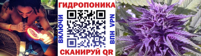 цена   Камешково  darknet наркотические препараты  Конопля индика 